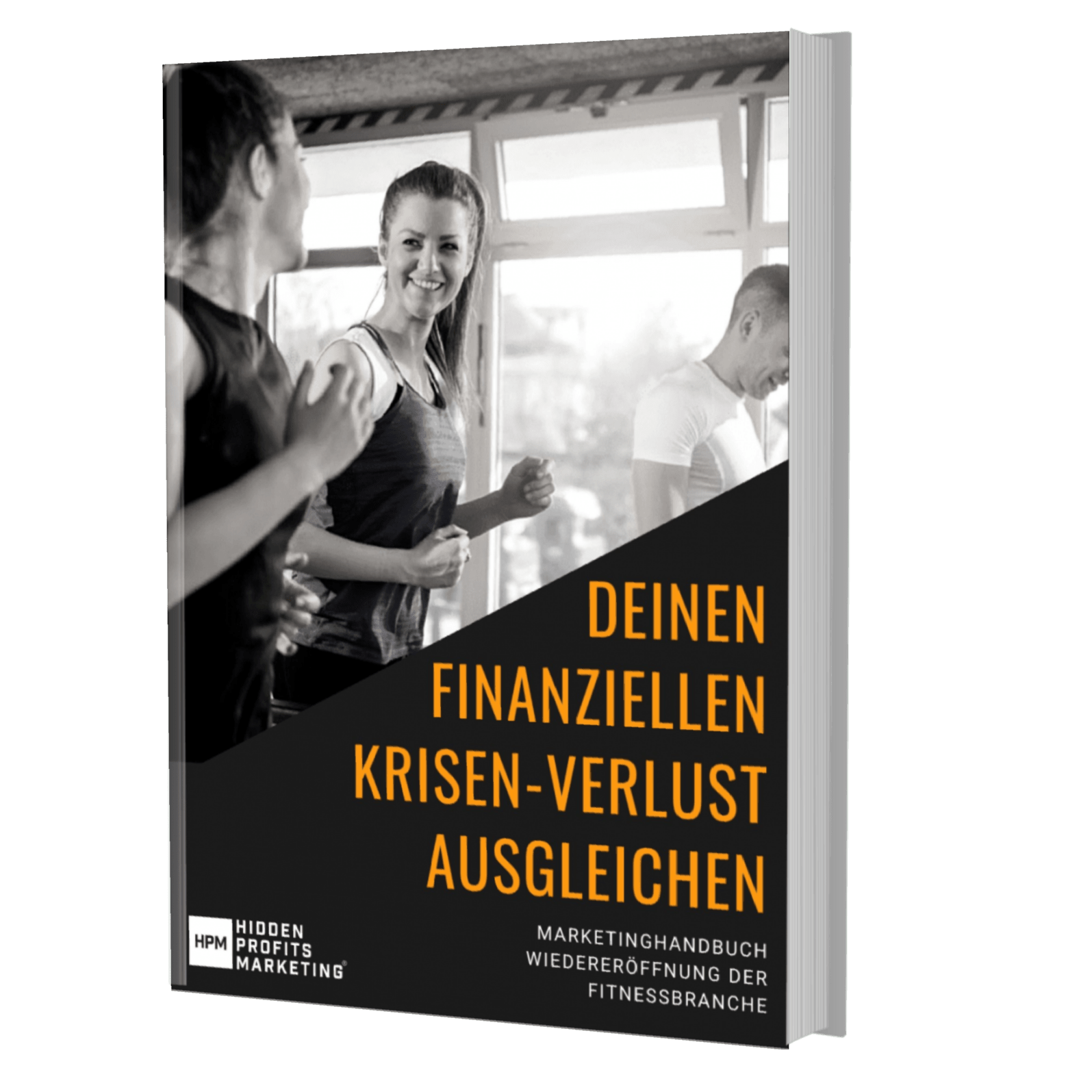 Handbuch Krisen-Verlust (DACH)